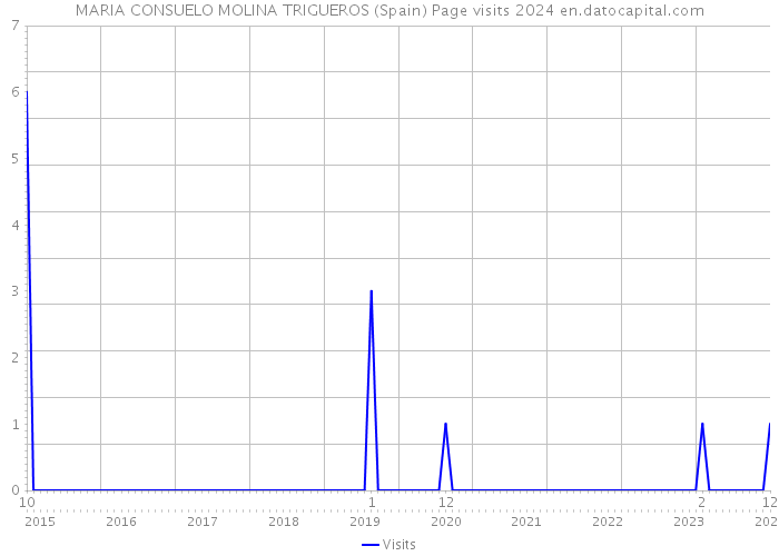 MARIA CONSUELO MOLINA TRIGUEROS (Spain) Page visits 2024 