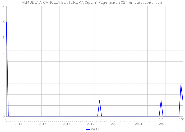 ALMUDENA CANCELA BENTUREIRA (Spain) Page visits 2024 