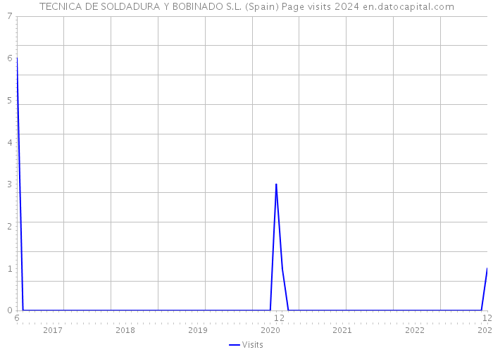 TECNICA DE SOLDADURA Y BOBINADO S.L. (Spain) Page visits 2024 