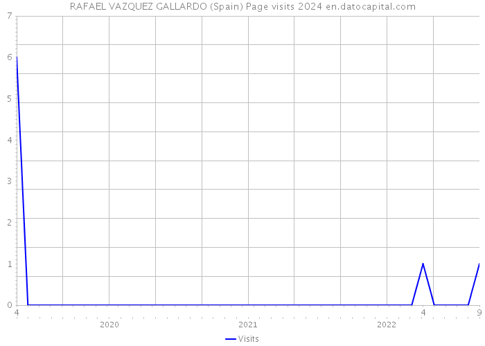 RAFAEL VAZQUEZ GALLARDO (Spain) Page visits 2024 