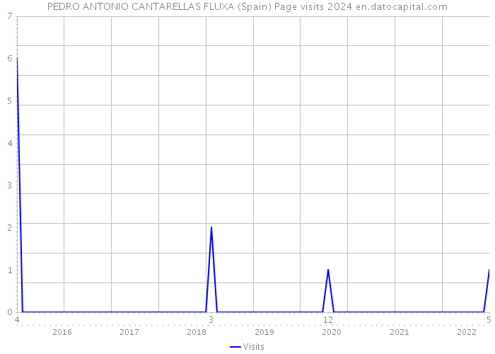 PEDRO ANTONIO CANTARELLAS FLUXA (Spain) Page visits 2024 
