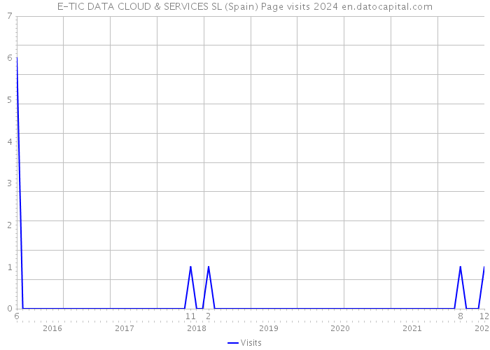 E-TIC DATA CLOUD & SERVICES SL (Spain) Page visits 2024 