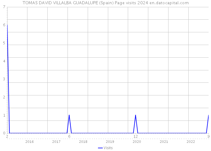 TOMAS DAVID VILLALBA GUADALUPE (Spain) Page visits 2024 