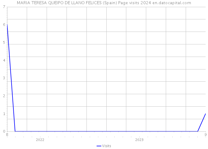 MARIA TERESA QUEIPO DE LLANO FELICES (Spain) Page visits 2024 