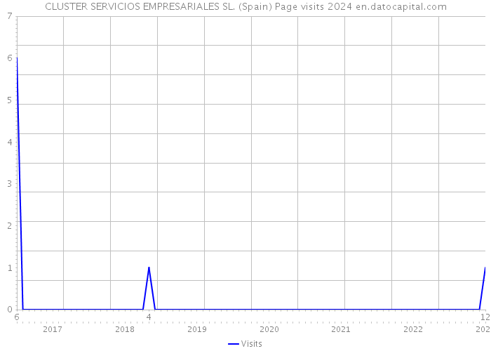 CLUSTER SERVICIOS EMPRESARIALES SL. (Spain) Page visits 2024 