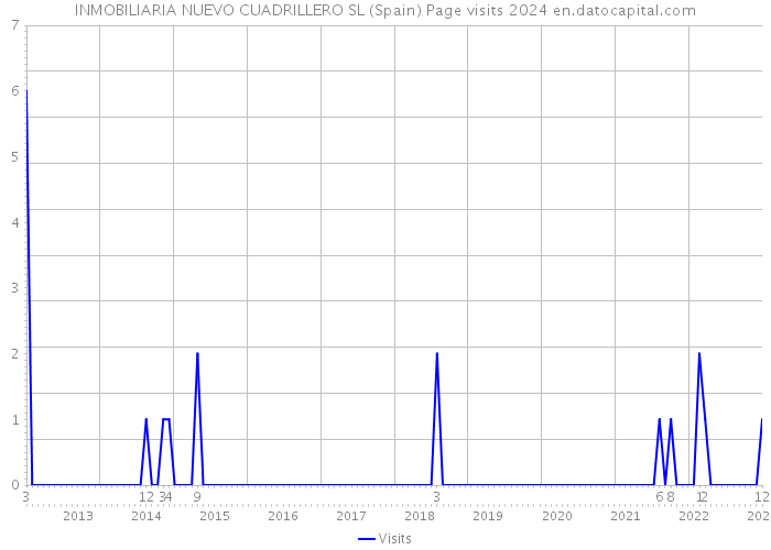 INMOBILIARIA NUEVO CUADRILLERO SL (Spain) Page visits 2024 