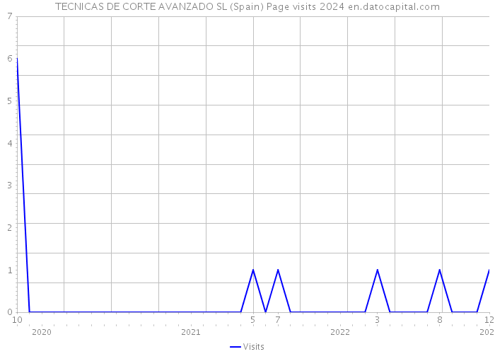 TECNICAS DE CORTE AVANZADO SL (Spain) Page visits 2024 