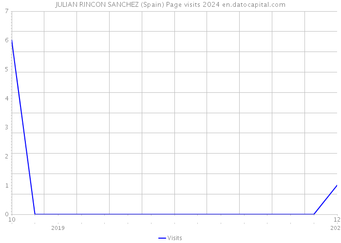 JULIAN RINCON SANCHEZ (Spain) Page visits 2024 