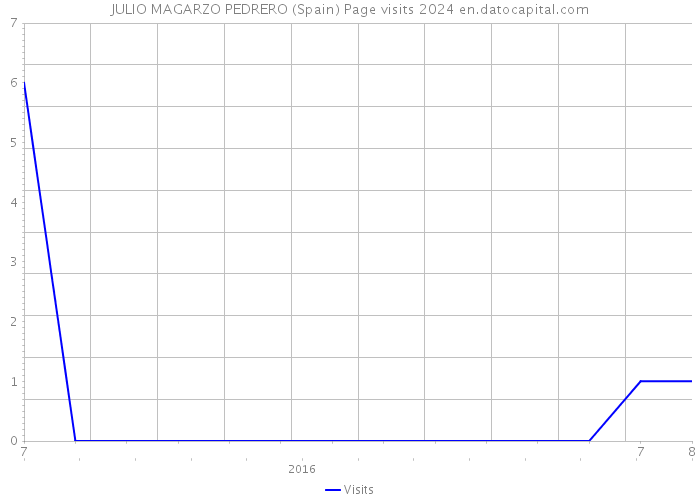 JULIO MAGARZO PEDRERO (Spain) Page visits 2024 