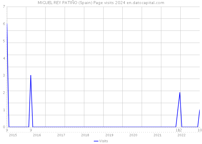 MIGUEL REY PATIÑO (Spain) Page visits 2024 