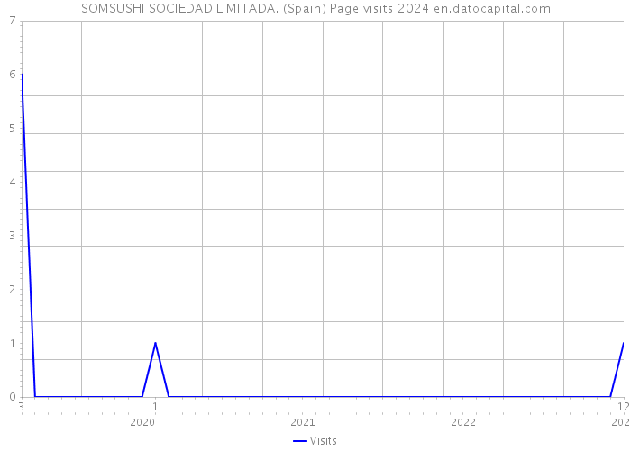 SOMSUSHI SOCIEDAD LIMITADA. (Spain) Page visits 2024 