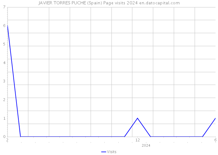 JAVIER TORRES PUCHE (Spain) Page visits 2024 