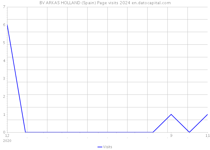 BV ARKAS HOLLAND (Spain) Page visits 2024 