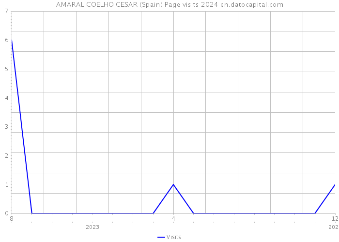 AMARAL COELHO CESAR (Spain) Page visits 2024 