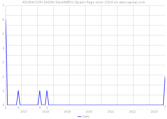 ADORACION ZAIDIN SALAMERO (Spain) Page visits 2024 