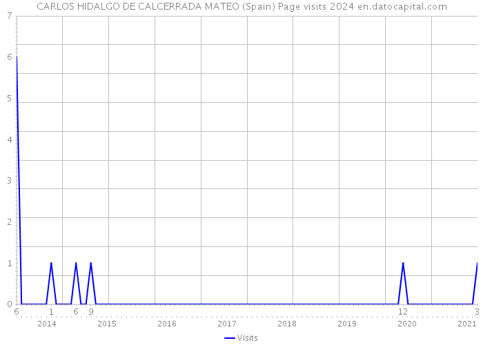 CARLOS HIDALGO DE CALCERRADA MATEO (Spain) Page visits 2024 