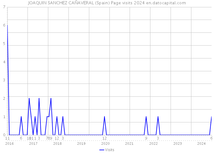 JOAQUIN SANCHEZ CAÑAVERAL (Spain) Page visits 2024 