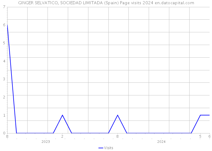 GINGER SELVATICO, SOCIEDAD LIMITADA (Spain) Page visits 2024 