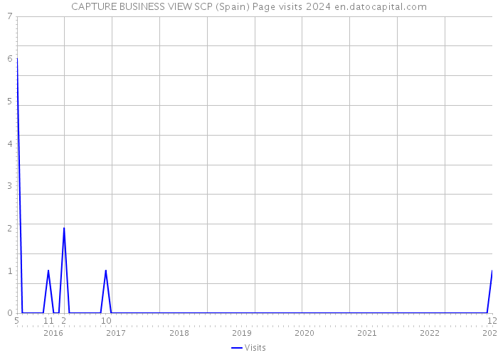CAPTURE BUSINESS VIEW SCP (Spain) Page visits 2024 