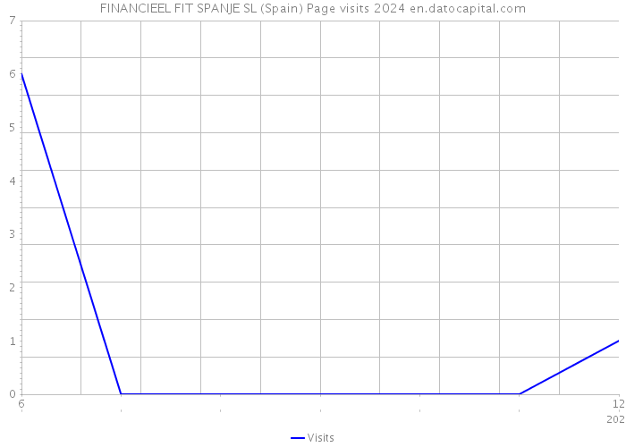 FINANCIEEL FIT SPANJE SL (Spain) Page visits 2024 