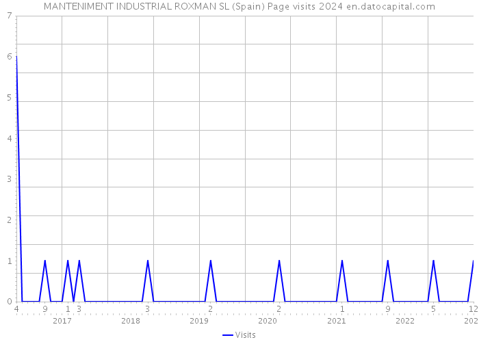 MANTENIMENT INDUSTRIAL ROXMAN SL (Spain) Page visits 2024 