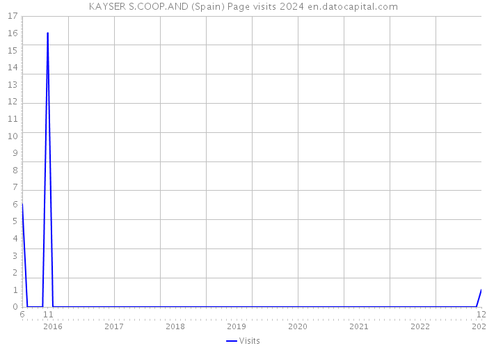 KAYSER S.COOP.AND (Spain) Page visits 2024 