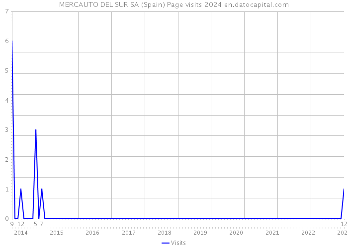 MERCAUTO DEL SUR SA (Spain) Page visits 2024 