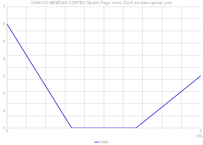 IGNACIO BENEGAS CORTES (Spain) Page visits 2024 