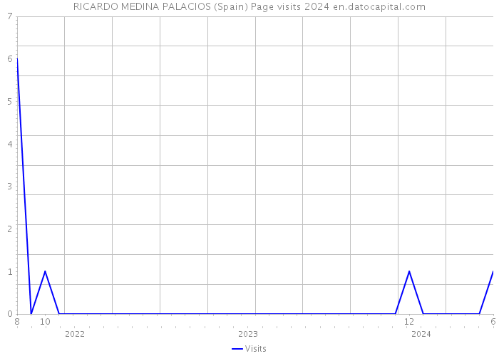 RICARDO MEDINA PALACIOS (Spain) Page visits 2024 