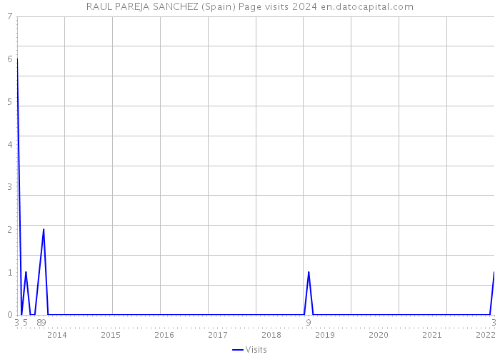 RAUL PAREJA SANCHEZ (Spain) Page visits 2024 