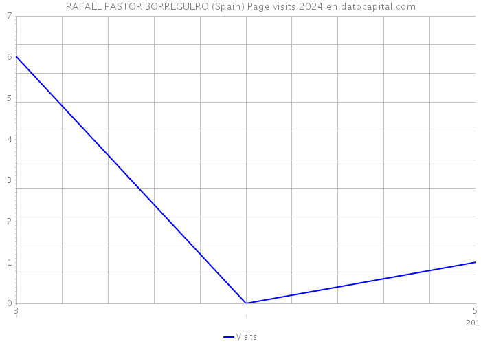 RAFAEL PASTOR BORREGUERO (Spain) Page visits 2024 