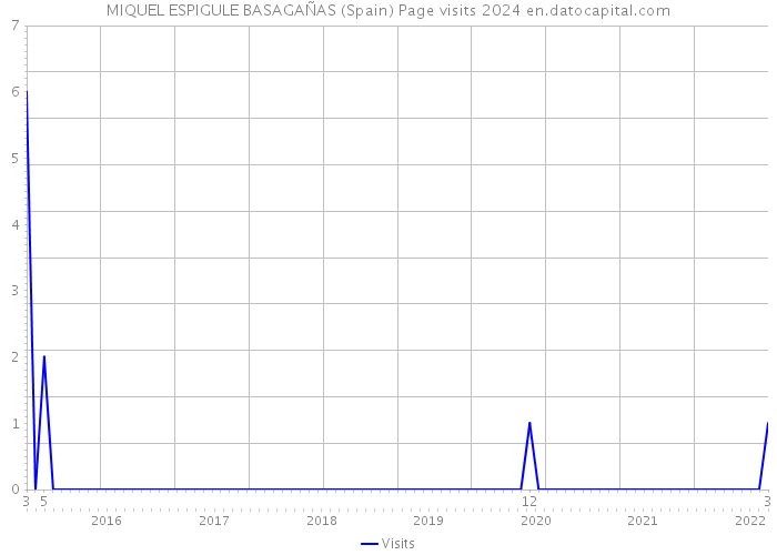 MIQUEL ESPIGULE BASAGAÑAS (Spain) Page visits 2024 