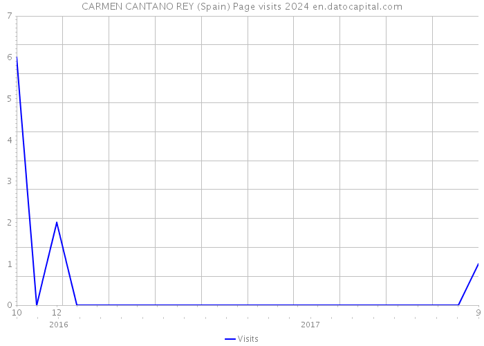 CARMEN CANTANO REY (Spain) Page visits 2024 