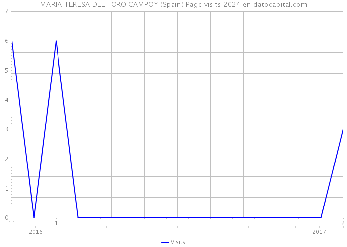 MARIA TERESA DEL TORO CAMPOY (Spain) Page visits 2024 