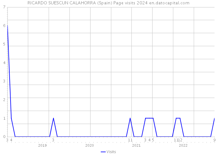 RICARDO SUESCUN CALAHORRA (Spain) Page visits 2024 