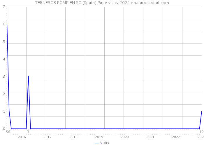 TERNEROS POMPIEN SC (Spain) Page visits 2024 