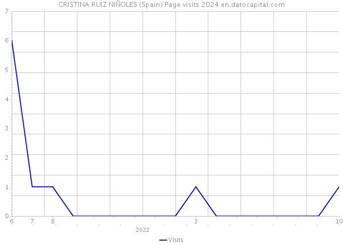 CRISTINA RUIZ NIÑOLES (Spain) Page visits 2024 