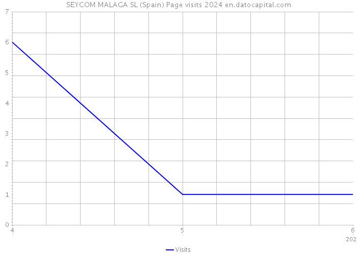 SEYCOM MALAGA SL (Spain) Page visits 2024 