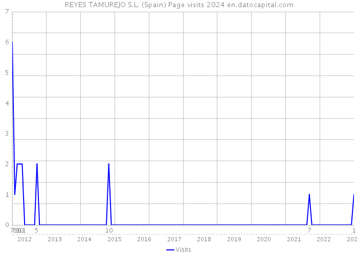 REYES TAMUREJO S.L. (Spain) Page visits 2024 