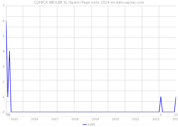 CLINICA WEYLER SL (Spain) Page visits 2024 