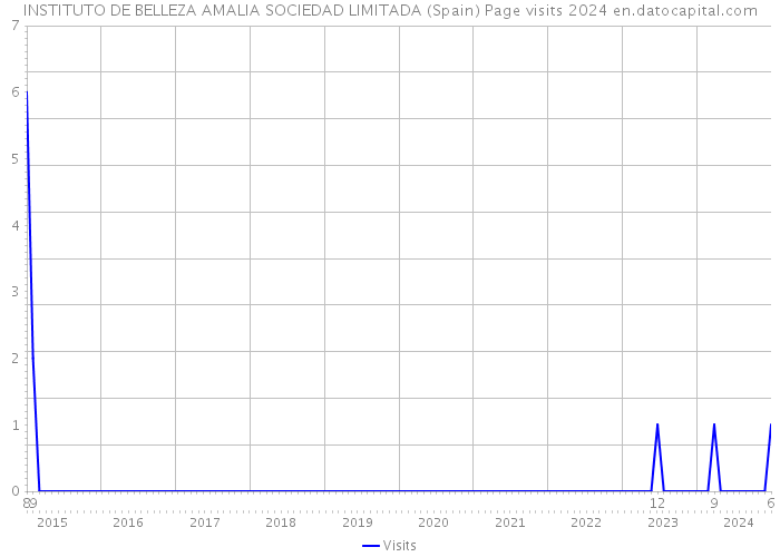 INSTITUTO DE BELLEZA AMALIA SOCIEDAD LIMITADA (Spain) Page visits 2024 