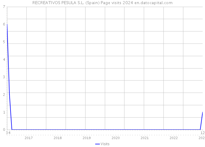 RECREATIVOS PESULA S.L. (Spain) Page visits 2024 