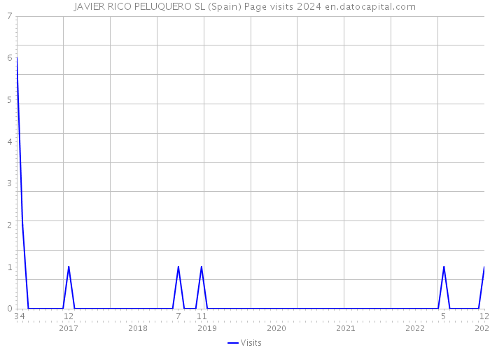 JAVIER RICO PELUQUERO SL (Spain) Page visits 2024 