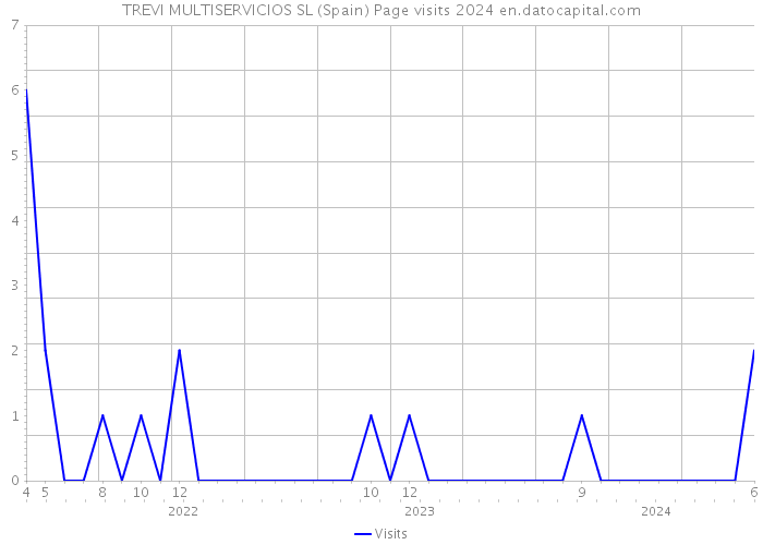 TREVI MULTISERVICIOS SL (Spain) Page visits 2024 