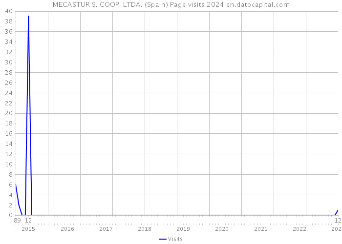 MECASTUR S. COOP. LTDA. (Spain) Page visits 2024 