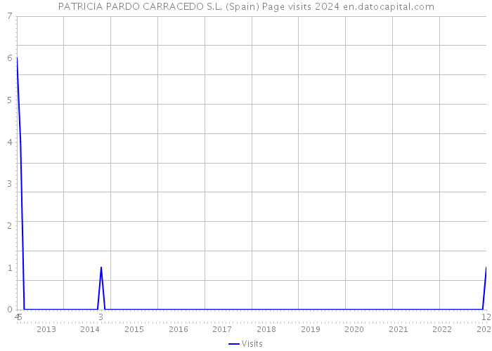 PATRICIA PARDO CARRACEDO S.L. (Spain) Page visits 2024 
