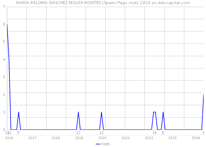 MARIA PALOMA SANCHEZ MOLINI MONTES (Spain) Page visits 2024 