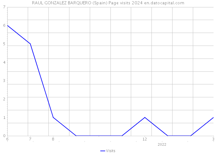 RAUL GONZALEZ BARQUERO (Spain) Page visits 2024 