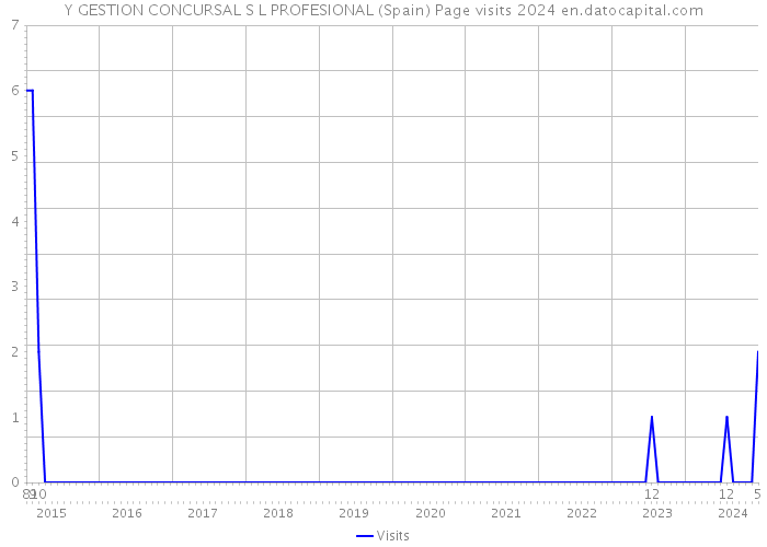 Y GESTION CONCURSAL S L PROFESIONAL (Spain) Page visits 2024 