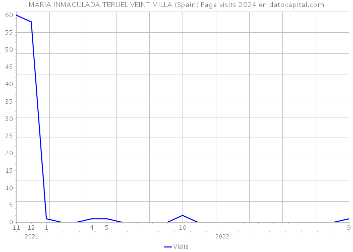 MARIA INMACULADA TERUEL VEINTIMILLA (Spain) Page visits 2024 